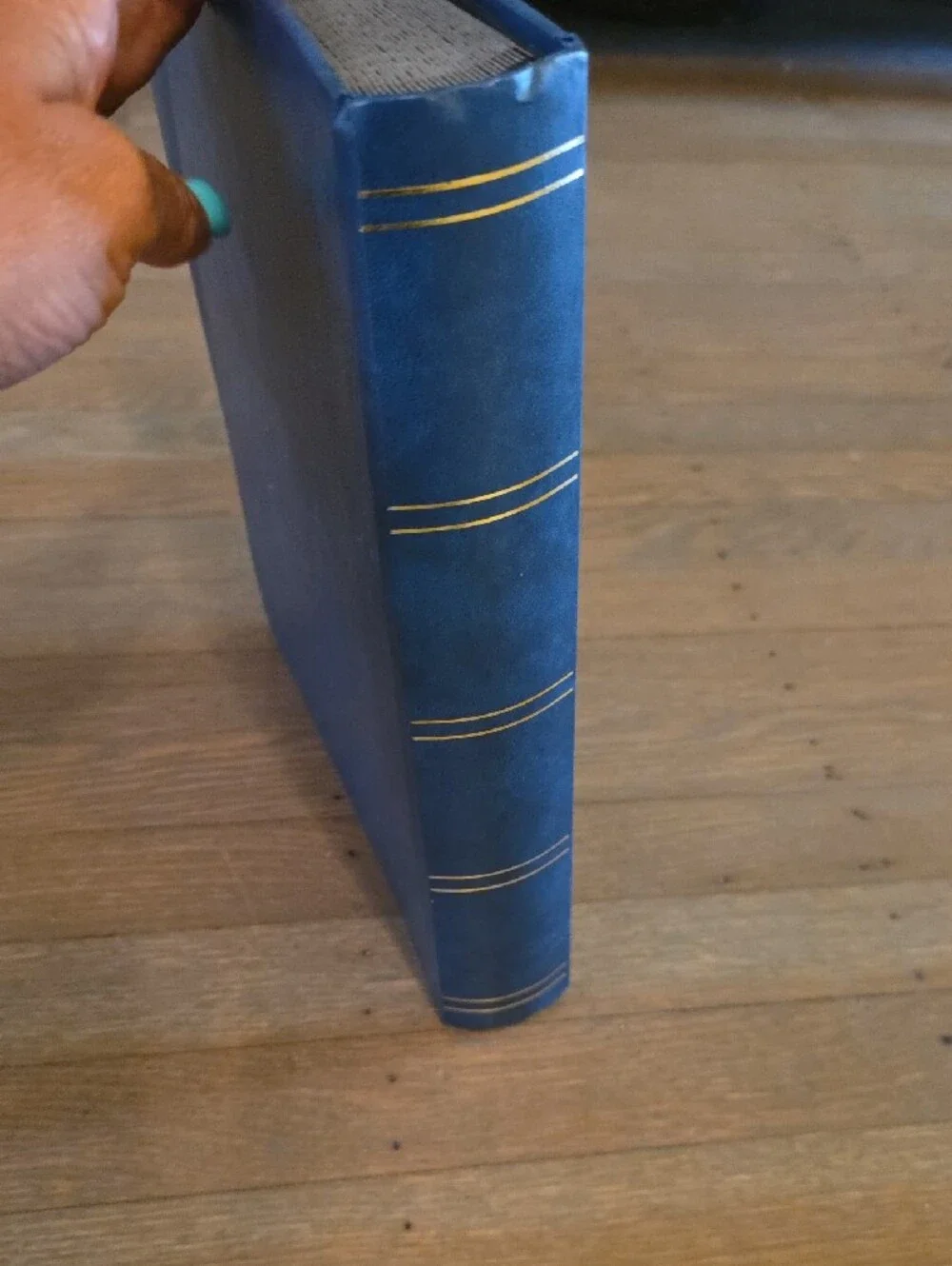 Lindner Stamp Album Nr. 1169S